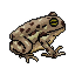 smolToad